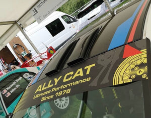 Remember Allycat?